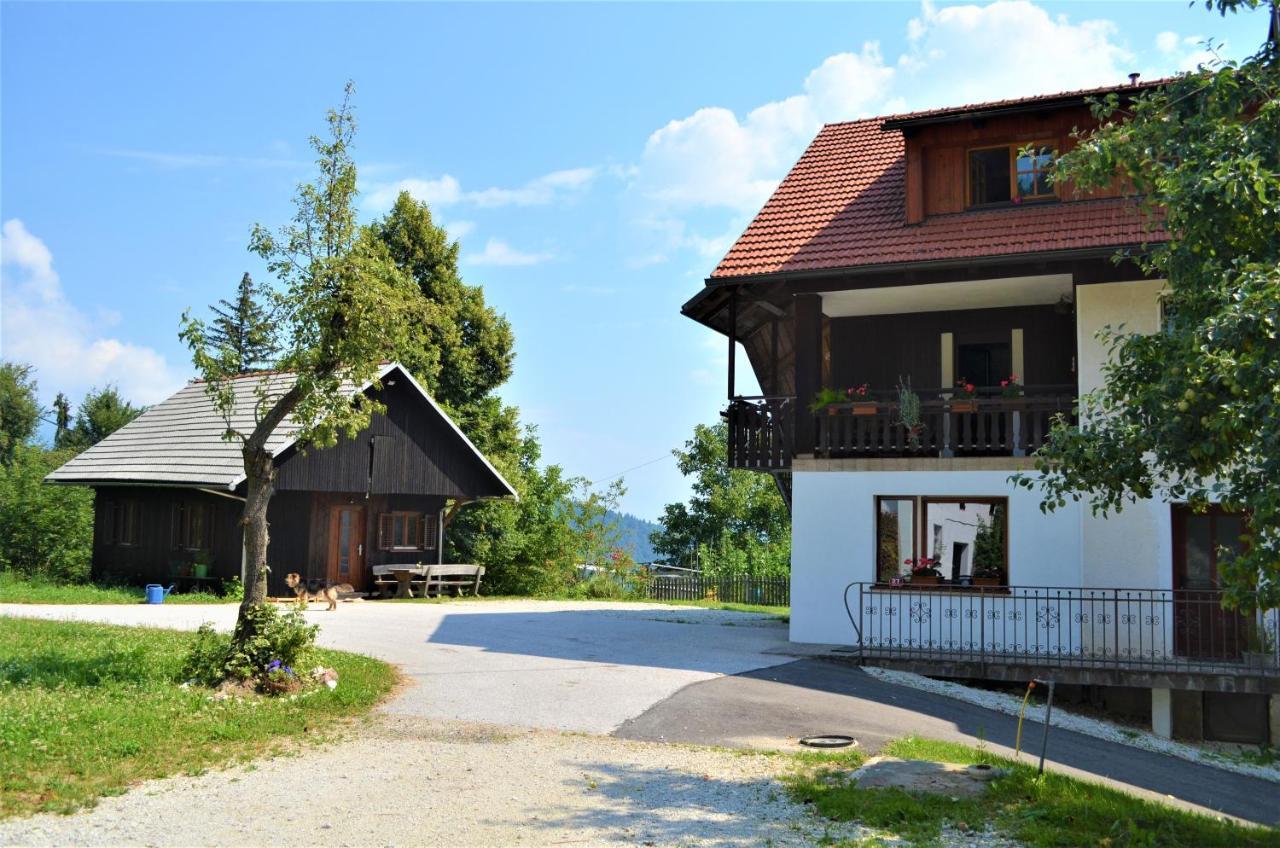 Healing Farm Διαμέρισμα Gorenja Vas  Εξωτερικό φωτογραφία