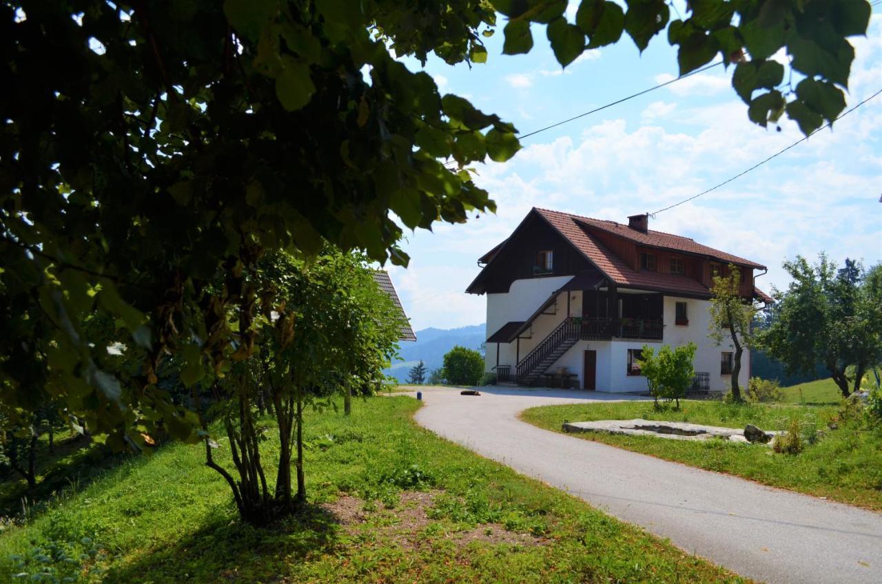 Healing Farm Διαμέρισμα Gorenja Vas  Εξωτερικό φωτογραφία