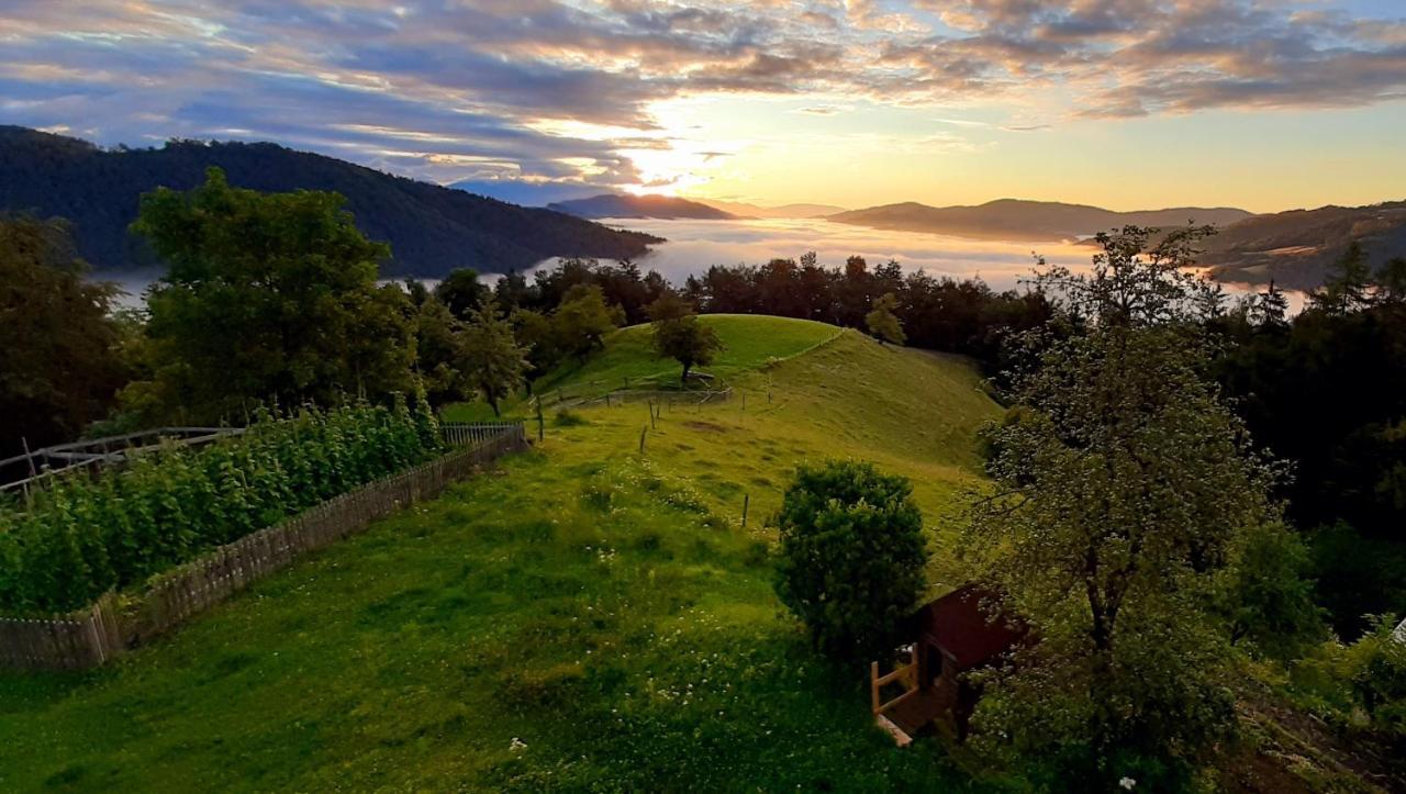 Healing Farm Διαμέρισμα Gorenja Vas  Εξωτερικό φωτογραφία