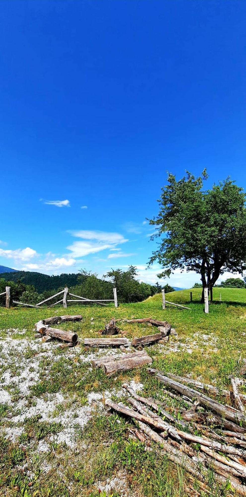 Healing Farm Διαμέρισμα Gorenja Vas  Εξωτερικό φωτογραφία