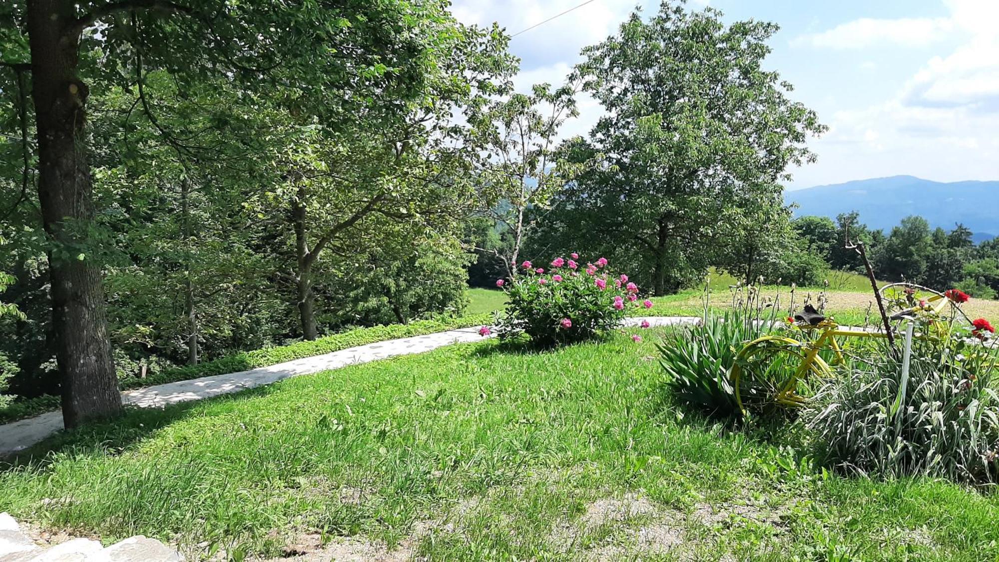 Healing Farm Διαμέρισμα Gorenja Vas  Εξωτερικό φωτογραφία